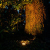 Lumen Logic™ LogiWell 12V Brass Open In-Ground Light (Bronze) with 5W 2700K MR16 LED Bulb - Lumen Logic
