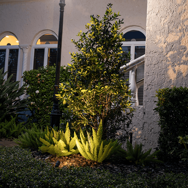 12V Brass Mini Spotlight & 2W 2700K MR11 LED Bulb - Lumen Logic™