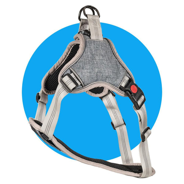 Accessories - Lumen Logic