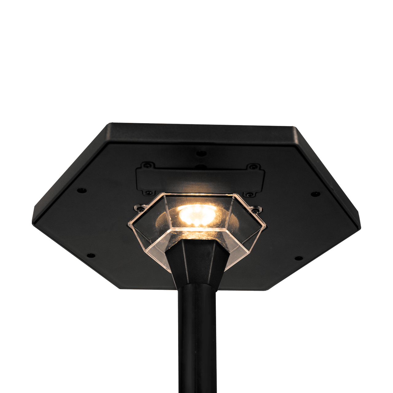 Solar LED Path Light (Black) - Lumen Logic™